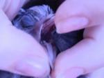 post-49771-1371231361_thumb.jpg