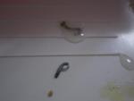 post-50013-1432744106_thumb.jpg