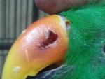 post-50014-1449503858_thumb.jpg