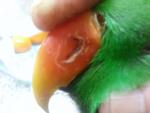 post-50014-1451672569_thumb.jpg