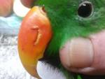 post-50014-1453142981_thumb.jpg