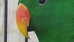 post-50014-1462297183_thumb.jpg