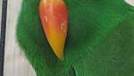 post-50014-1462297252_thumb.jpg