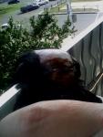 post-50465-1373392559_thumb.jpg