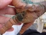 post-5117-1422570787_thumb.jpg