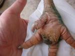 post-5117-1422570834_thumb.jpg