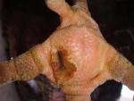 post-5117-1429993293_thumb.jpg