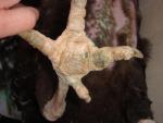 post-5117-1429993506_thumb.jpg