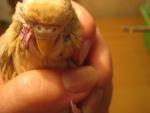 post-52157-1409502018_thumb.jpg