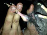 post-52281-1382790460_thumb.jpg