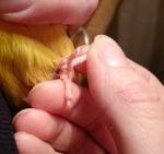 post-52378-1452020450_thumb.jpg
