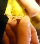 post-52378-1452020480_thumb.jpg