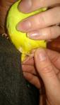 post-52378-1452026756_thumb.jpg