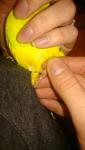 post-52378-1452027137_thumb.jpg