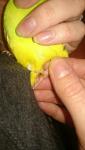 post-52378-1452027163_thumb.jpg
