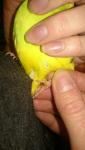 post-52378-1452027183_thumb.jpg