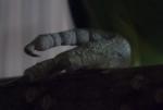 post-52499-1428000173_thumb.jpg
