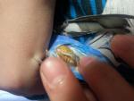 post-52662-1391085146_thumb.jpg