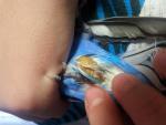 post-52662-1391085173_thumb.jpg