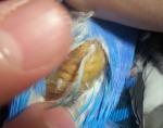 post-52662-1391085441_thumb.jpg