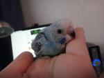 post-53376-1413542318_thumb.jpg