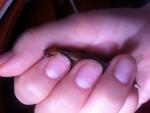 post-53407-1459922790_thumb.jpg