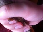 post-53407-1459922840_thumb.jpg