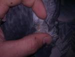 post-53495-1478349340_thumb.jpg