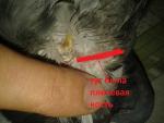 post-53495-1478816556_thumb.jpg