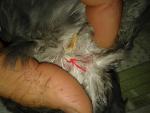post-53495-1478817328_thumb.jpg