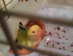 IMG_20141124_122739.JPG