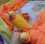 IMG_20141129_093628.JPG