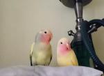 IMG_20141203_110430.JPG