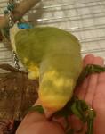 IMG_20150131_183833.JPG