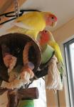 DSC09704.JPG