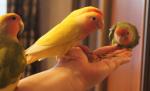 DSC09737.JPG