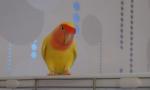 DSC09717.JPG