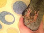 post-53965-1392055147_thumb.jpg
