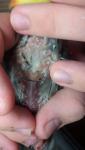 post-54317-1418982838_thumb.jpg