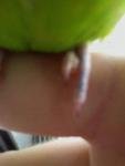 post-54405-1395123383_thumb.jpg