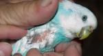 post-54460-1467558441_thumb.jpg
