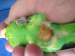 post-54470-1395836468_thumb.jpg