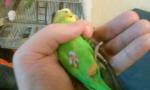 post-54470-1506516504_thumb.jpg