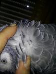 post-54482-1397819237_thumb.jpg