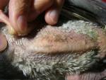 post-54708-1461405743_thumb.jpg