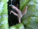 post-54708-1471004187_thumb.jpg