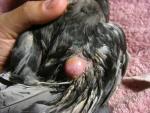 post-54708-1476036579_thumb.jpg