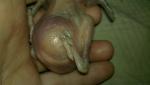 post-55067-1399808427_thumb.jpg