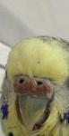 post-55091-1423422707_thumb.jpg