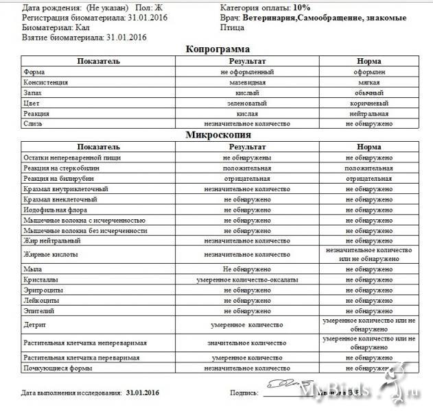 Расшифровка копрограммы у взрослых таблица анализа норма